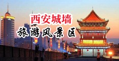 8x8x强奸中国陕西-西安城墙旅游风景区